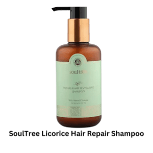 Top 10 best ayurvedic shampoo in India